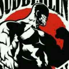 Vollblut Hustler