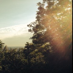 Incubus Cover - Love Hurts