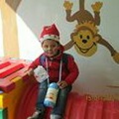 sherin-abdein