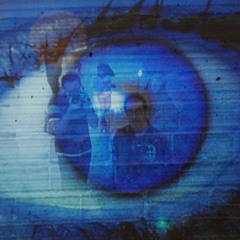 tony adamo / tenten / b.nine / lichen