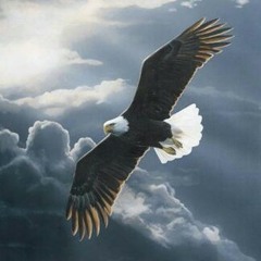 user46401065