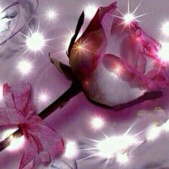 user519189181