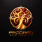 paggiaroecodesign