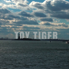 Toy Tiger