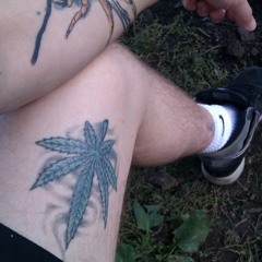 Research Reselection