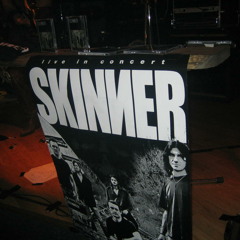 Skinner - revival