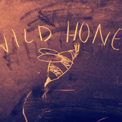 -Wild Honey-