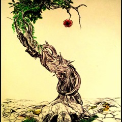 Ahmad Nawaz Chaudhry