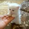 sara.mamdouh88