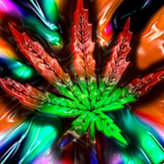 stonerwalsh