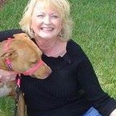 Debra Bastion-Lutgen