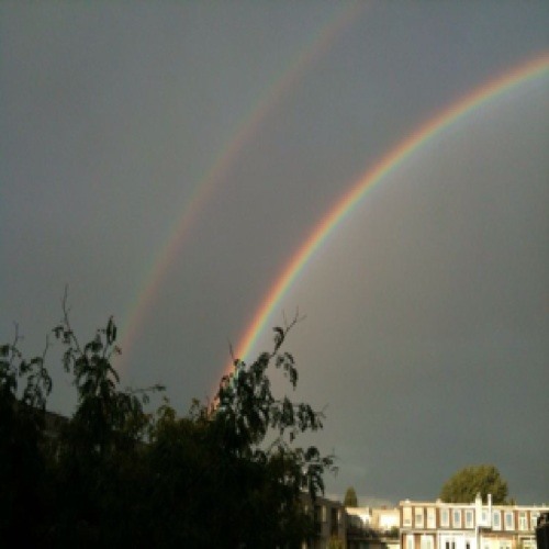 Stream Nine Repelaer Van Driel music Listen to songs, albums