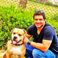 amr zohdy