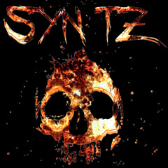Syn TZ