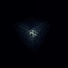 Polymorphism