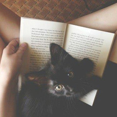 Christine Mcdowell 7144