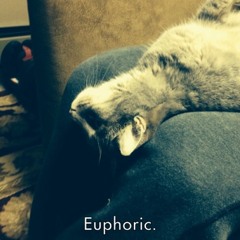 Euphoric.