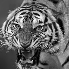 TheBlessedOut_Victory