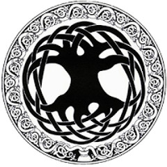 Christian Rojas Salinas