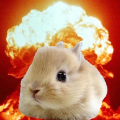 AtomicBunny53