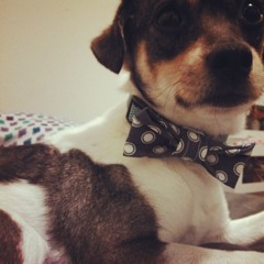 Kelley and the lights