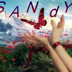 Sandy Sobhy