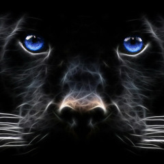 Awakening