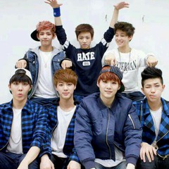 armyziecai