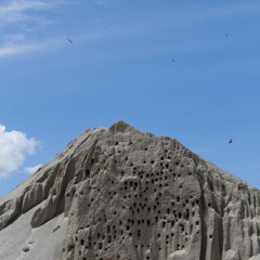 Sheep Bridge Jumpers