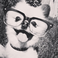 one direction girl ❤️