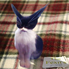 justmorty and The Fexil's