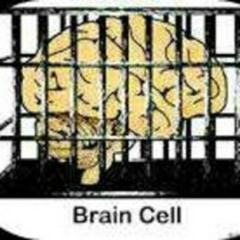 Brain.Cell-2-
