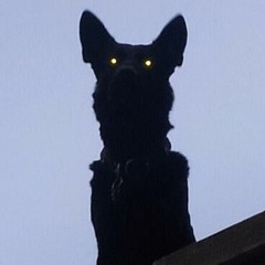 blvckwxlf