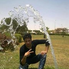 Adel El Mekawy