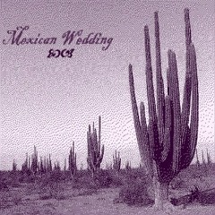 Mexican Wedding