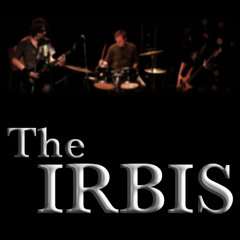 The IRBIS
