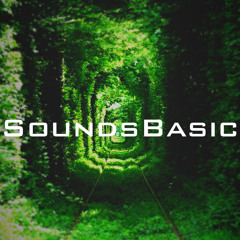SoundsBasic