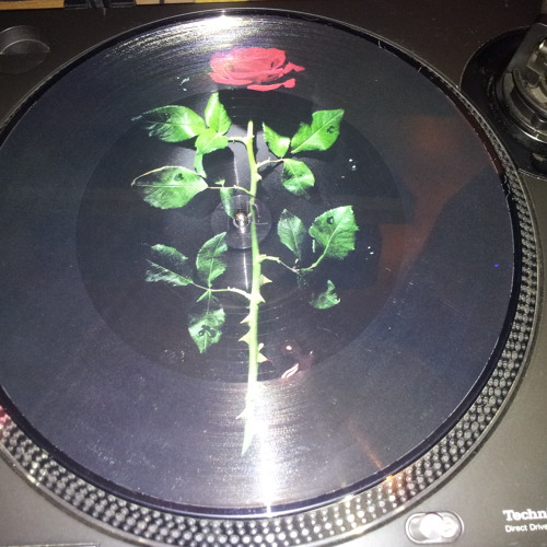 CasaLoco Funky Classics