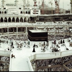 busadeq