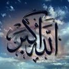 Alaa Monir 2