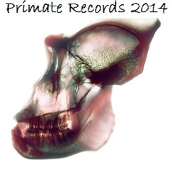 Primate Records
