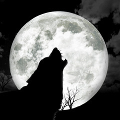Nightwolf CR