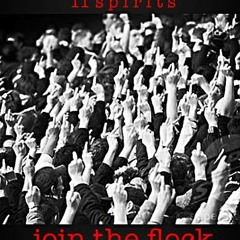 11 Spirits