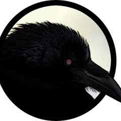 The Dead Crows