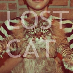 Lost Cat Music