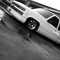 Califinest559