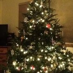 Patty Little Solomon