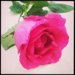 Shannise Nicole Gidaya