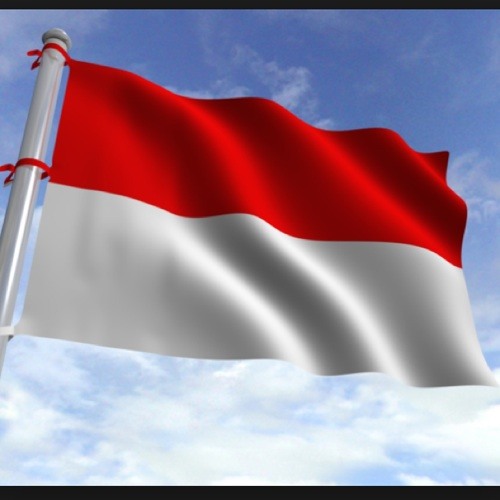 VoiceIndonesia’s avatar