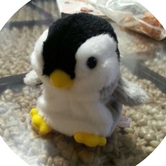 piyapooooo